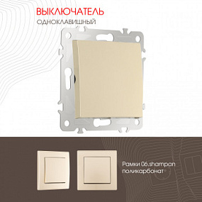 Выключатель одноклавишный, 10AX 250V 206.30-1.shampan Arte Milano