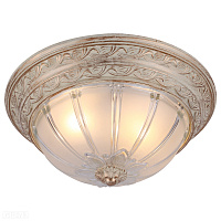 Потолочный светильник Arte Lamp PIATTI A8014PL-2WA