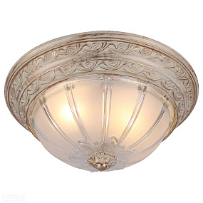 Потолочный светильник Arte Lamp PIATTI A8014PL-2WA
