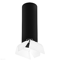 Накладной светильник Lightstar Rullo R6497486