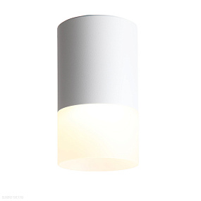 Накладной светодиодный светильник ST LUCE OTTU ST100.502.05