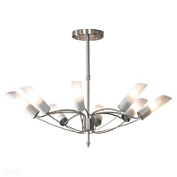 Люстра потолочная LUSSOLE LSA-2813-08