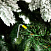 Ель CRYSTAL TREES ЭМИЛИ зеленая в снегу 270 см. KP4627S