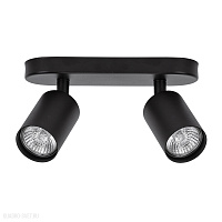 Спот Arte Lamp AQUARIUS A3226PL-2BK