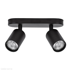 Спот Arte Lamp AQUARIUS A3226PL-2BK