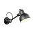 Настенный светильник на кронштейне Odeon Light ARTA 4125/1W