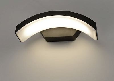 Уличный настенный светодиодный светильник Elektrostandard  Asteria D 1671 TECHNO LED черный