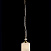 Подвесной светильник Maytoni Sherborn RC016-PL-01-G