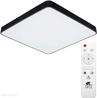 Потолочный светодиодный светильник Arte Lamp SCENA A2669PL-1BK