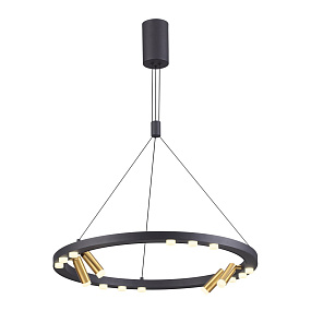 Светодиодная подвесная люстра Odeon Light BEVEREN 3918/48L