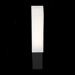 Уличный настенный светильник ST Luce Posto SL096.411.02