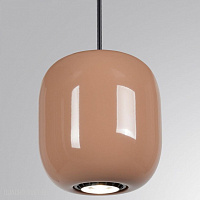 Подвесной светильник Odeon Light OVALI 5053/1G