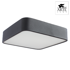 Потолочный светильник Arte Lamp COSMOPOLITAN A7210PL-2BK