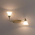 Спот поворотный CITILUX Прованс CL511524
