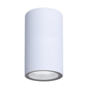 Уличный настенный светильник Arte Lamp MISTERO A3302PF-1WH