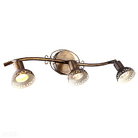 Спот Arte Lamp FOCUS A5219PL-3BR