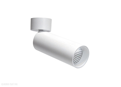Накладной поворотный светильник Donolux Rollo DL18895R1W ST