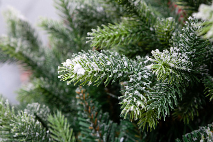 Ель CRYSTAL TREES Лаки заснеженная с ягодами 210 см. KP1121