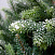 Ель CRYSTAL TREES Лаки заснеженная с ягодами 210 см. KP1121