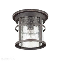 Уличный потолочный светильник Odeon Light VIRTA 4044/1C