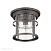 Уличный потолочный светильник Odeon Light VIRTA 4044/1C