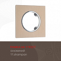 Рамка из алюминия на 1 пост 502.11-1.shampan Arte Milano