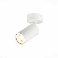 Накладной светильник ST LUCE DARIO ST303.502.01
