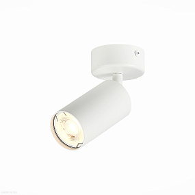 Накладной светильник ST LUCE DARIO ST303.502.01