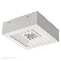 Аварийный светодиодный светильник Kanlux TRIC POWERLED NT 18645