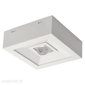 Аварийный светодиодный светильник Kanlux TRIC POWERLED NT 18645
