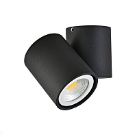 Накладной поворотный светильник Donolux Eva A1594Black/RAL9005