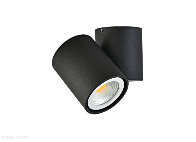 Накладной поворотный светильник Donolux Eva A1594Black/RAL9005