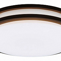 Потолочный светильник CITILUX Бостон CL709325N