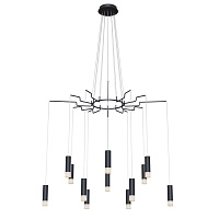 Подвесная люстра Maytoni Davida MOD035PL-12B