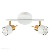 Спот Arte Lamp ALMACH A1906PL-2WH