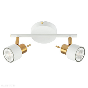 Спот Arte Lamp ALMACH A1906PL-2WH