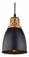 Подвес Arte Lamp EURICA A4248SP-1BK