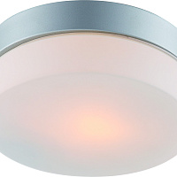 Настенно-потолочный уличный светильник Arte Lamp SHIRP A3211PL-1SI