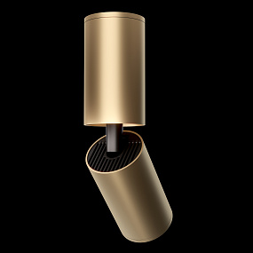 Накладной светильник Maytoni FOCUS S C051CL-01G