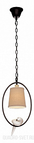 Подвес LOFT IT 1029 LOFT1029A-1