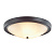 Настенно-потолочный светильник LUMION NINA 5260/4C