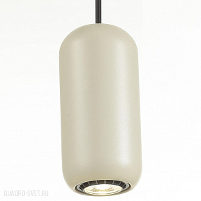 Подвесной светильник Odeon Light COCOON 5060/1G