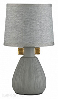 Настольная лампа LUMION FUSAE 5666/1T