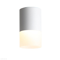 Накладной светодиодный светильник ST LUCE OTTU ST100.502.10