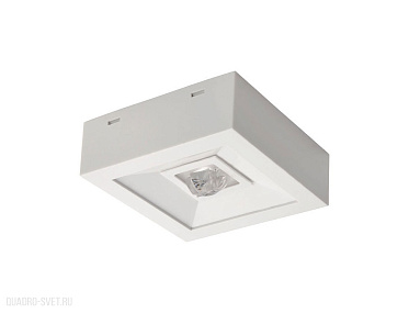 Аварийный светодиодный светильник Kanlux TRIC POWERLED NT 18644