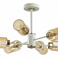 Потолочная люстра LUMION DALLIN 5639/6C