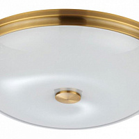 Настенно-потолочный светильник Odeon Light PELOW 4956/5