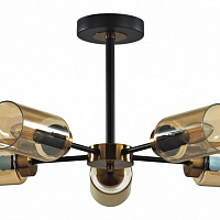 Потолочная люстра LUMION DALLIN 5640/5C