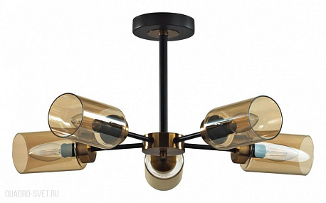 Потолочная люстра LUMION DALLIN 5640/5C
