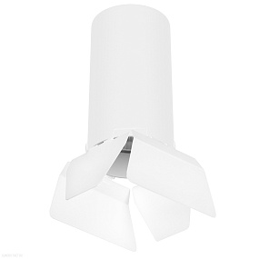 Накладной светильник Lightstar Rullo R6486486